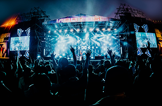 關於鐵玫瑰形象圖